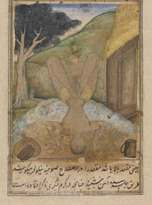 The earliest paintings of non-seated poses (asanas) appear in the Persian Bahr al-Hayat manuscripts, written in Gujarat in approximately 1550 by Muhammad Ghwath Gwaliori...
