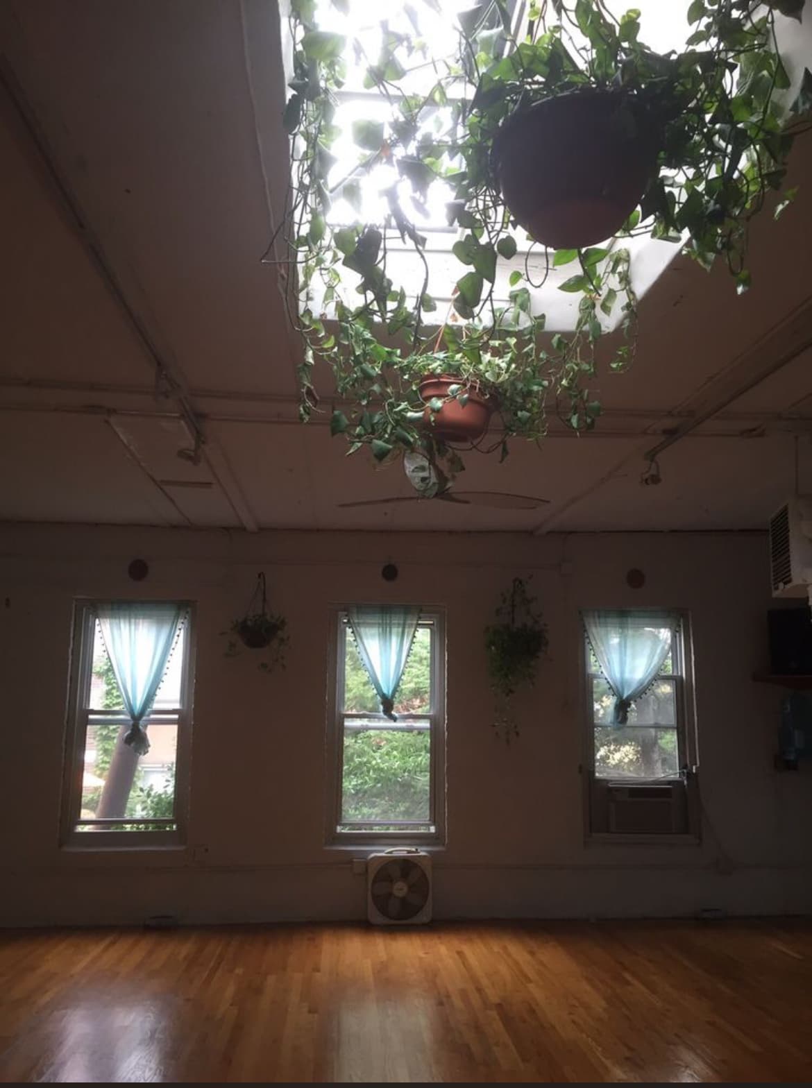 An important discussion about abuse in yoga communities, recognizing red flags, and building safer spaces for practice and learning.